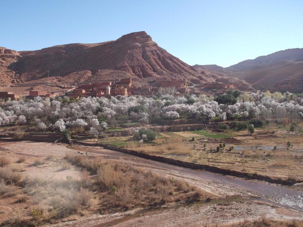 Kasbah Ounila Hotel Ait Benhaddou Luaran gambar